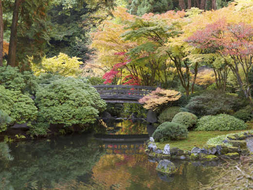 Herbst Farben mit Teich Fußgängerbrücke japanischen Garten in Portland, Oregon