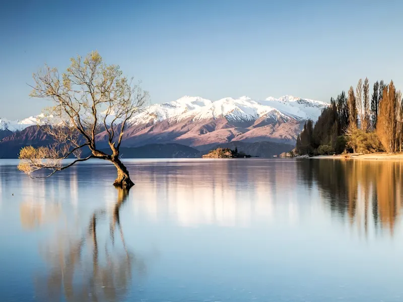 Lake Wanaka, Otago, Neuseeland Einsamer Baum im Wasser mit schneebedeckten Bergen im Hintergrund, Lake Wanaka, Otago, Neuseeland.