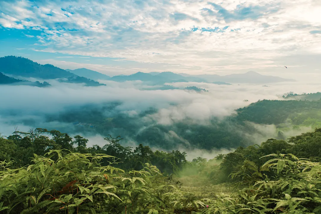 Cameron Highlands, Malaysia Blick auf den Sonnenaufgang mit Wolken über Cameron Highlands, Malaysia