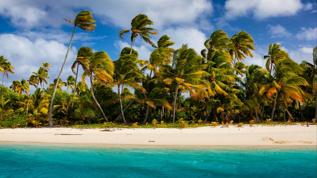 Cook Inseln: Exotische Früchte und Kultur beim Insel Hopping