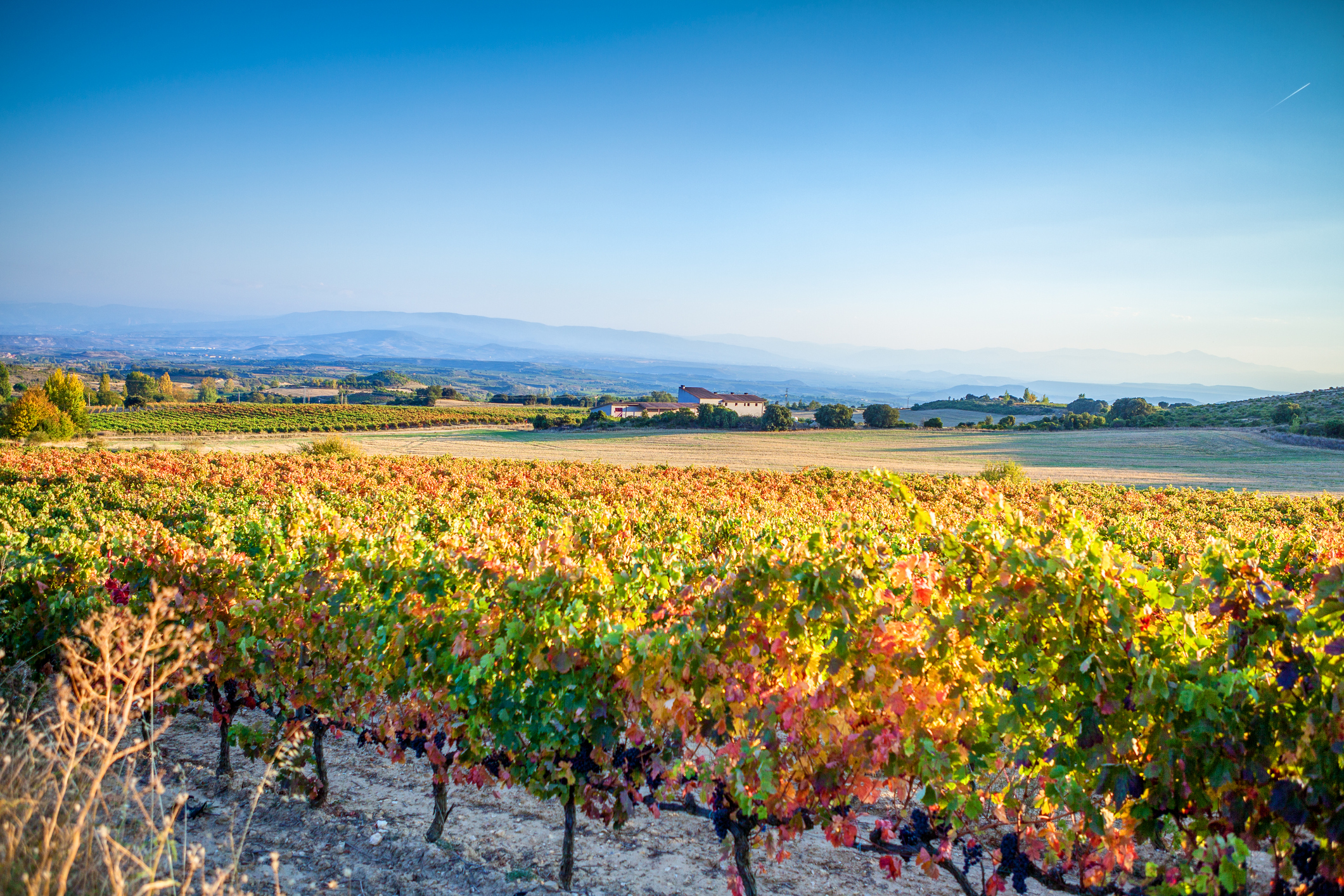 La Rioja Reisen Individuelle Reiseplanung & Reisetipps