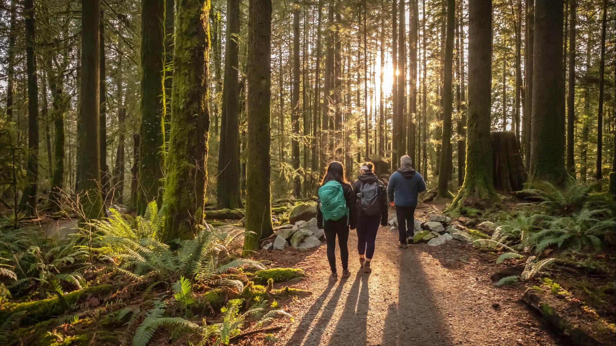 Familie läuft durch den Wald in Kanada