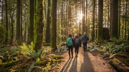 Une famille court dans la forêt au Canada