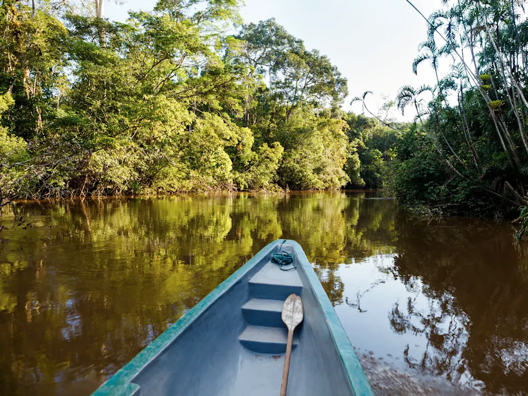 Bootsfahrt auf einem Fluss im Regenwald mit grüner Vegetation. Cuyabeno, Sucumbíos, Ecuador.