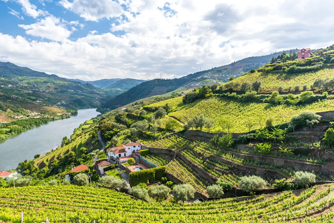 Portugal, Douro-Tal Landschaft des Douro Fluss Gebiet mit Weinberge, Portugal.