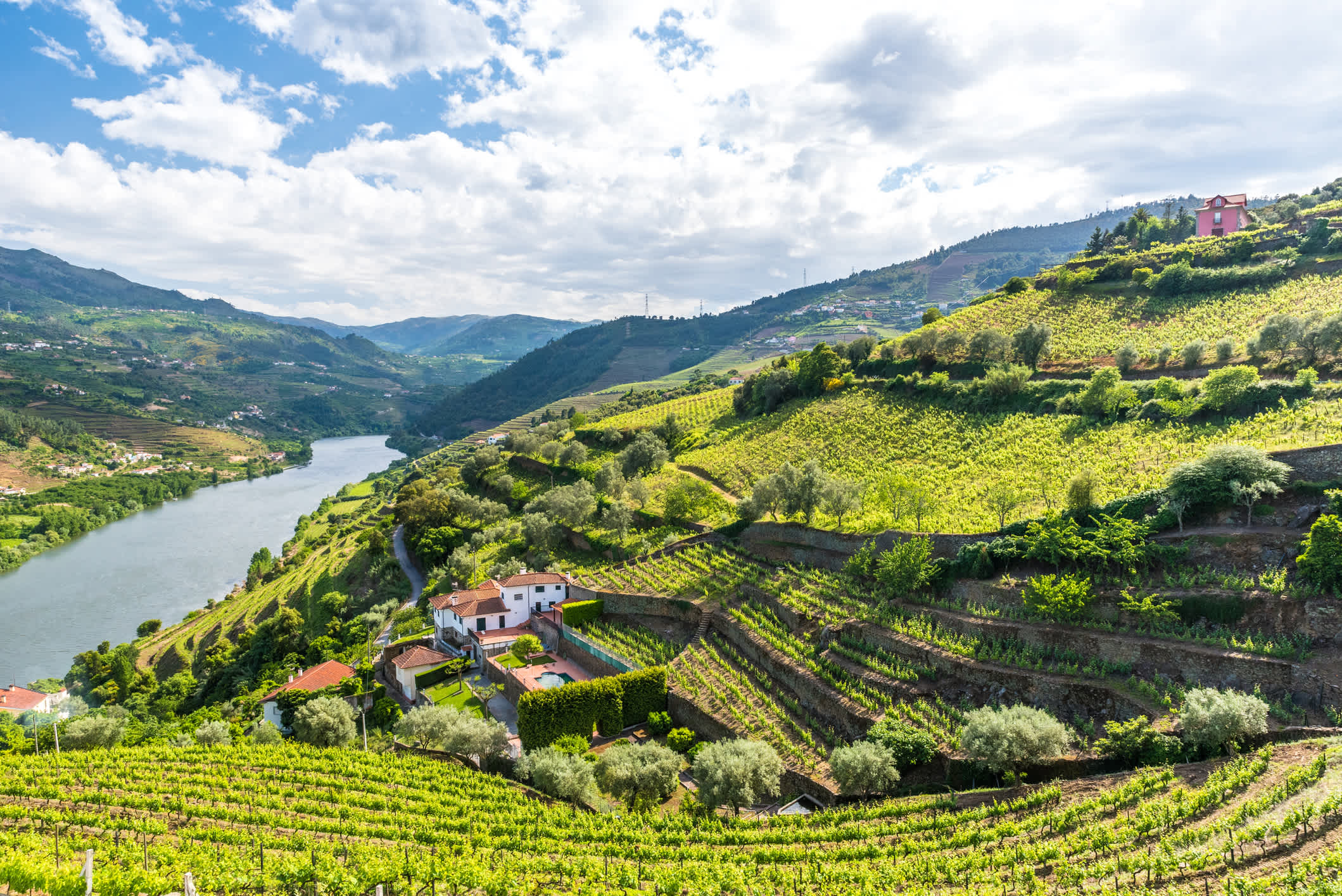 Landschaft des Douro Fluss Gebiet mit Weinberge, Portugal.