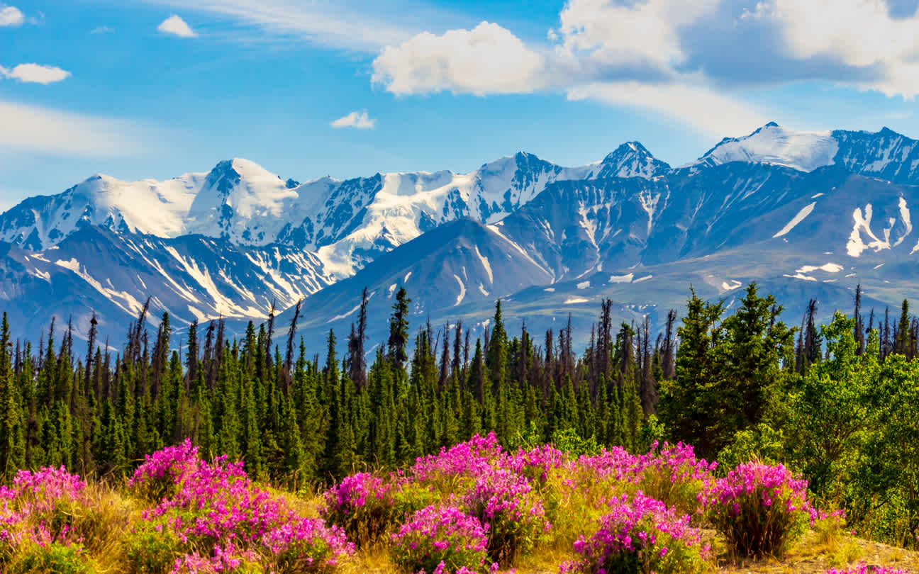 Genießen Sie auf Ihrer Reise in den Yukon eine bergige Landschaft.