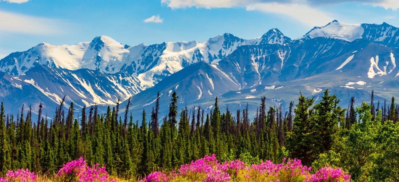 Canada, Yukon Genießen Sie auf Ihrer Reise in den Yukon eine bergige Landschaft.
