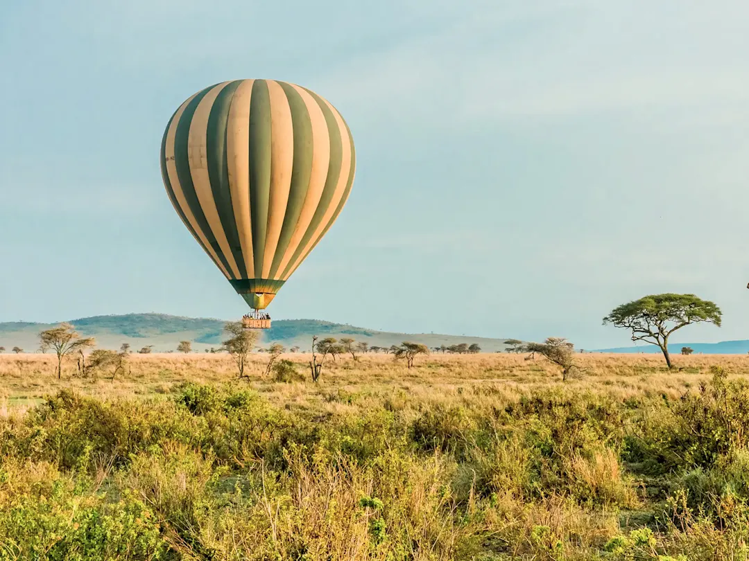 Heißluftballon schwebt über der goldenen Savanne bei Sonnenaufgang. Serengeti, Tansania.