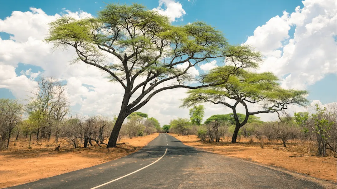 Namibia Afrikanische Landschaft mit leerer Straße und Bäumen in Namibia.
