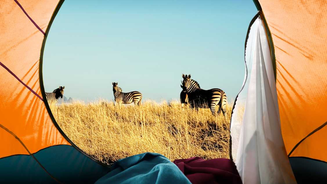 Camping Safari in Tansania