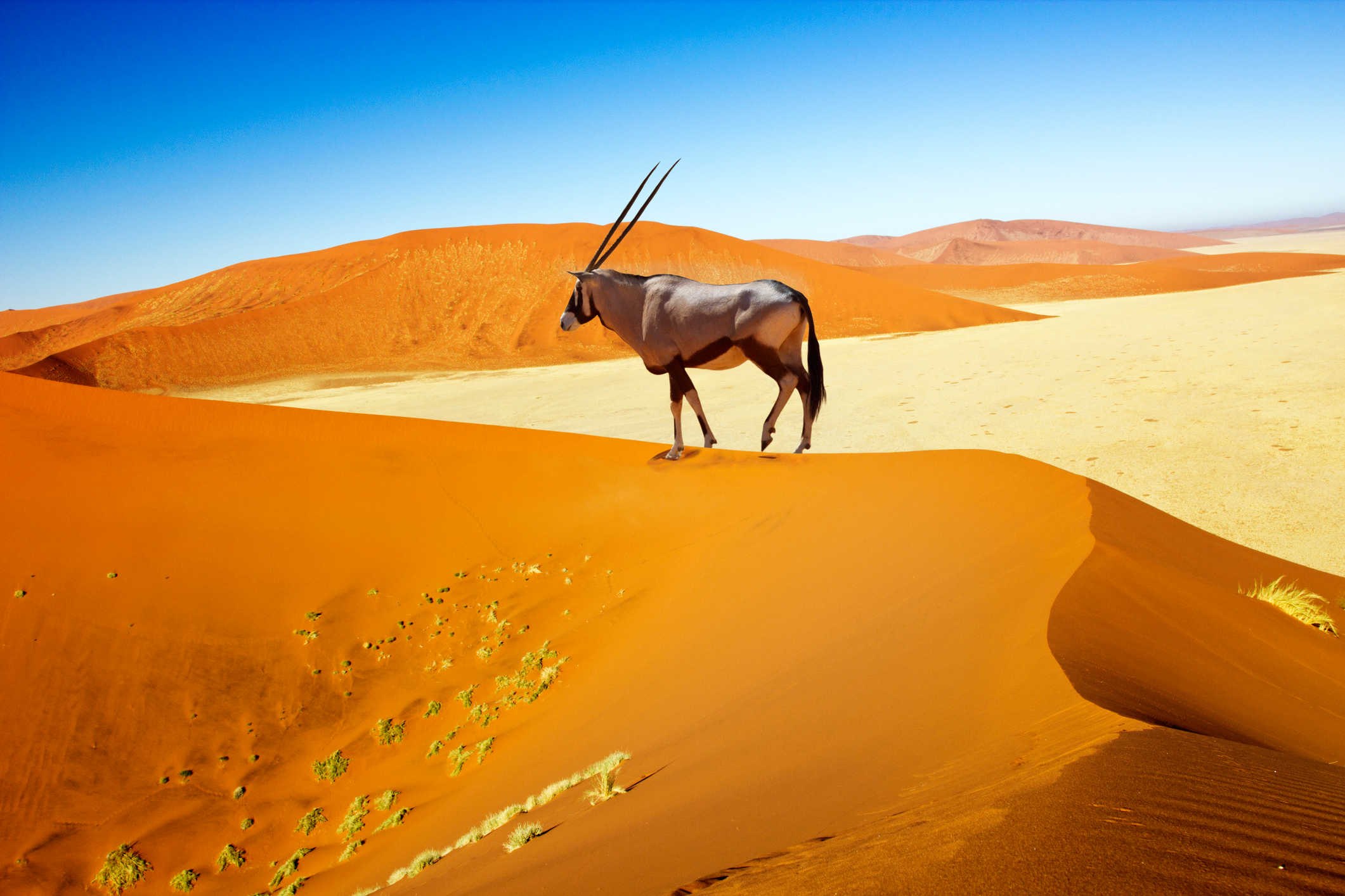 Die 15 besten Sehenswürdigkeiten in Namibia für 2024| Tourlane