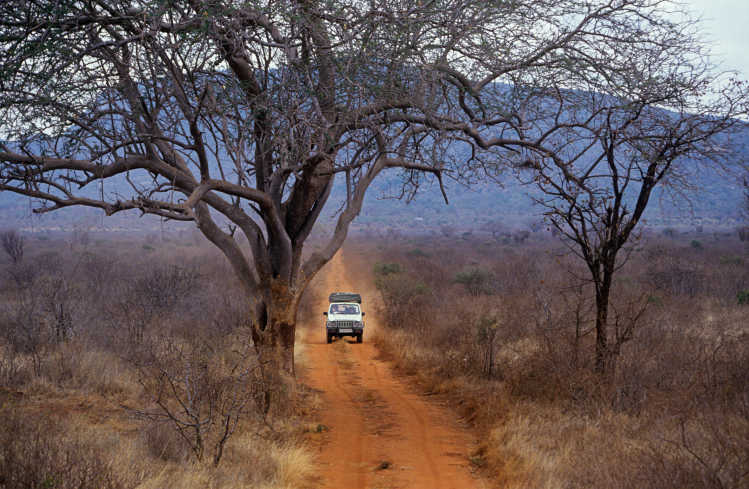 Jeep bei einem Roadtrip durch die kenianische Savanne