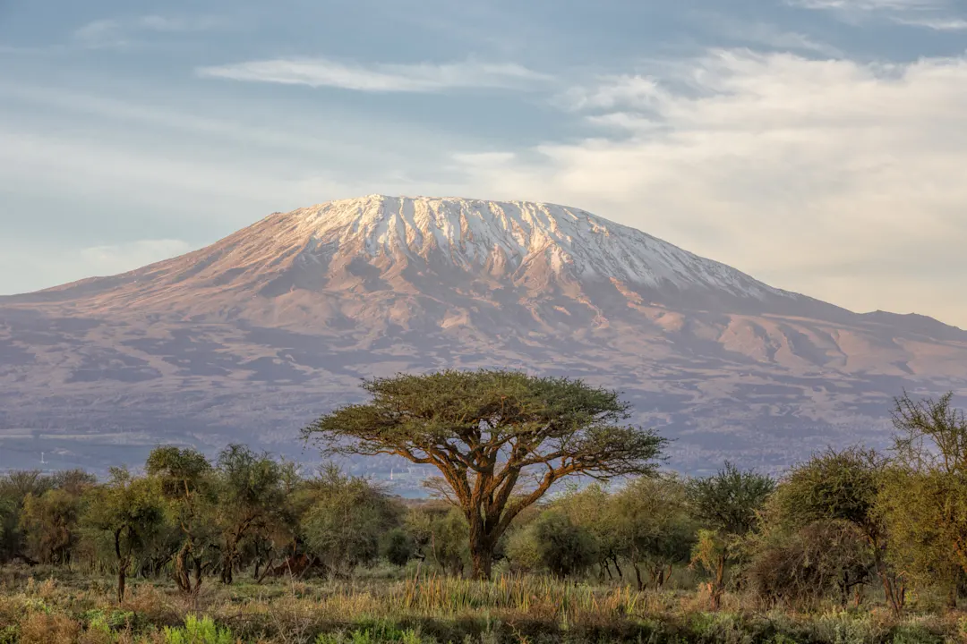 Tansania, Kilimandscharo Blick auf den Kilimandscharo in Tansania von Amboseli in Kenia