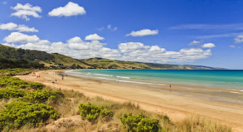 Profitez de votre road trip sur la Great Ocean Road pendant votre voyage en Australie pour faire une pause détente sur la plage d'Apollo Bay