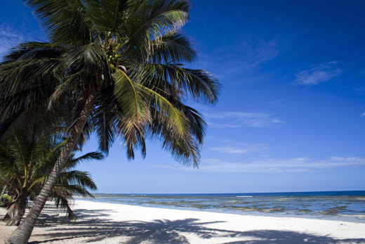 Empty palm fringed white sand beach near Mombasa, Kenya