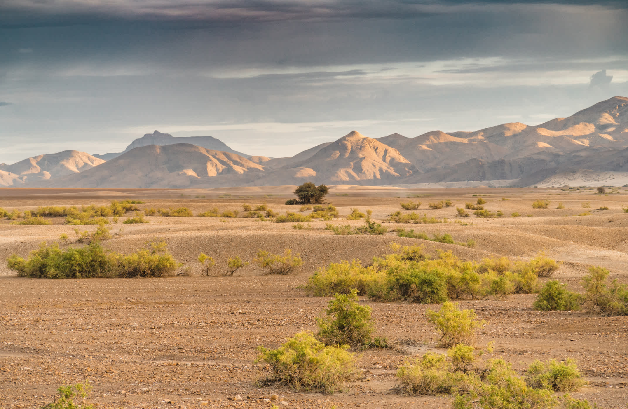 Trockene Landschaft der Erongogebirge in Namibia. 