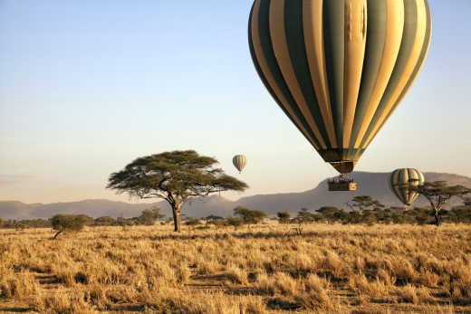 Hot air balloons over the Serengeti 