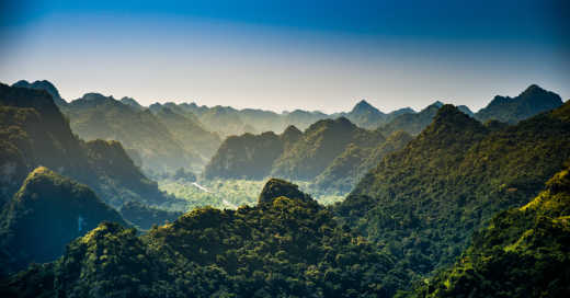 Paysage panoramique verdoyant entre rochers et montagnes sur l'île de Cat Ba au Vietnam.
