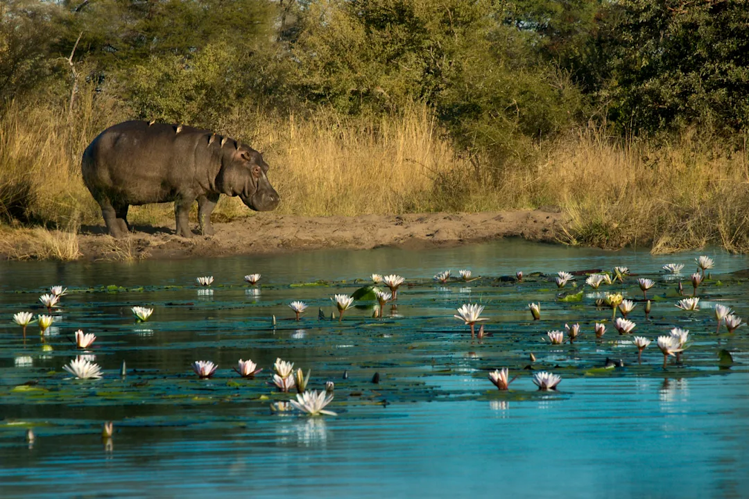 Autotour en Namibie et au Botswana