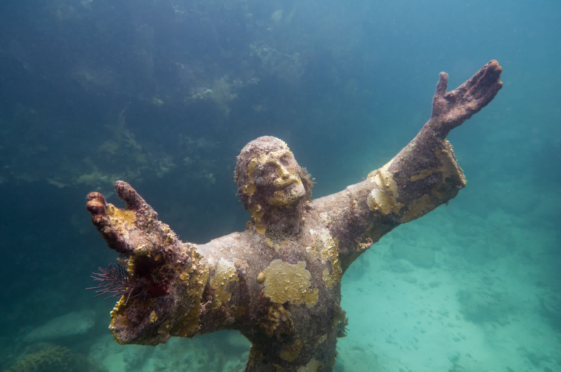 Découverte d'une statue dans les fonds marins lors d'une sortie plongée à Key Largo en Floride