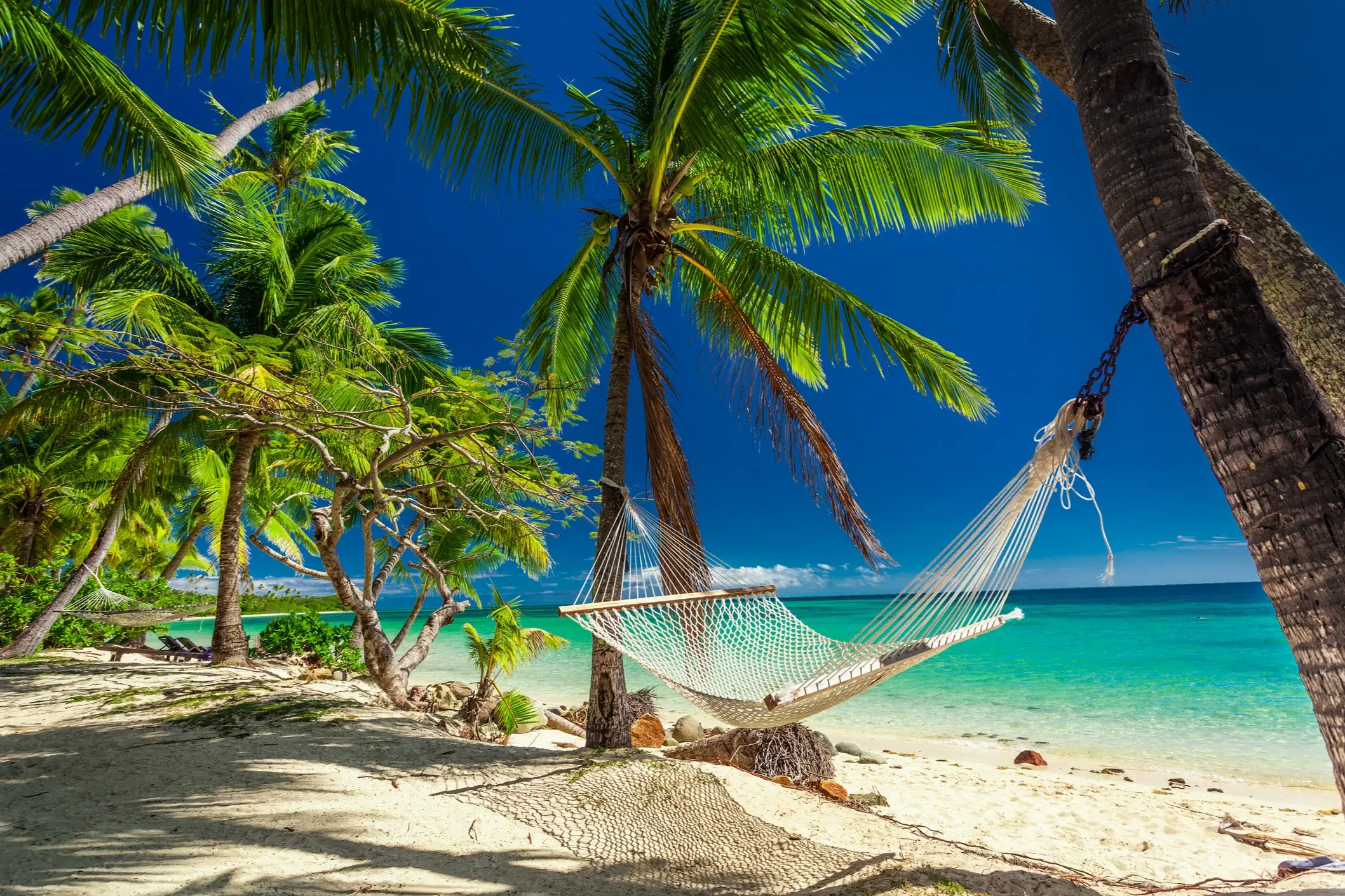 Fidschi, Strand Foto einer leeren Hängematte, die zwischen Palmen an einem Sandstrand auf Fidschi aufgehängt ist.
