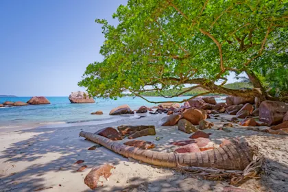 Paradiesische Seychellen - Image 2