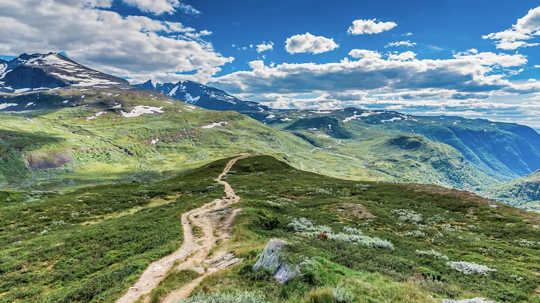 Wanderweg führt durch grüne Hügel mit schneebedeckten Bergen im Hintergrund. Jotunheimen-Nationalpark, Norwegen.