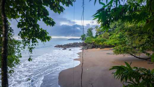 Strand und Wald der Drake Bay, Costa Rica.