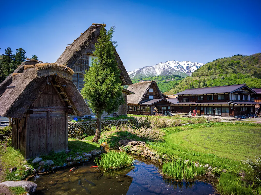 Traditionelle Gassho-Zukuri-Häuser mit Strohdach in Shirakawa-go