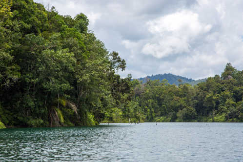 Der üppige Regenwald umgibt den See von Batang Ai in Borneo.