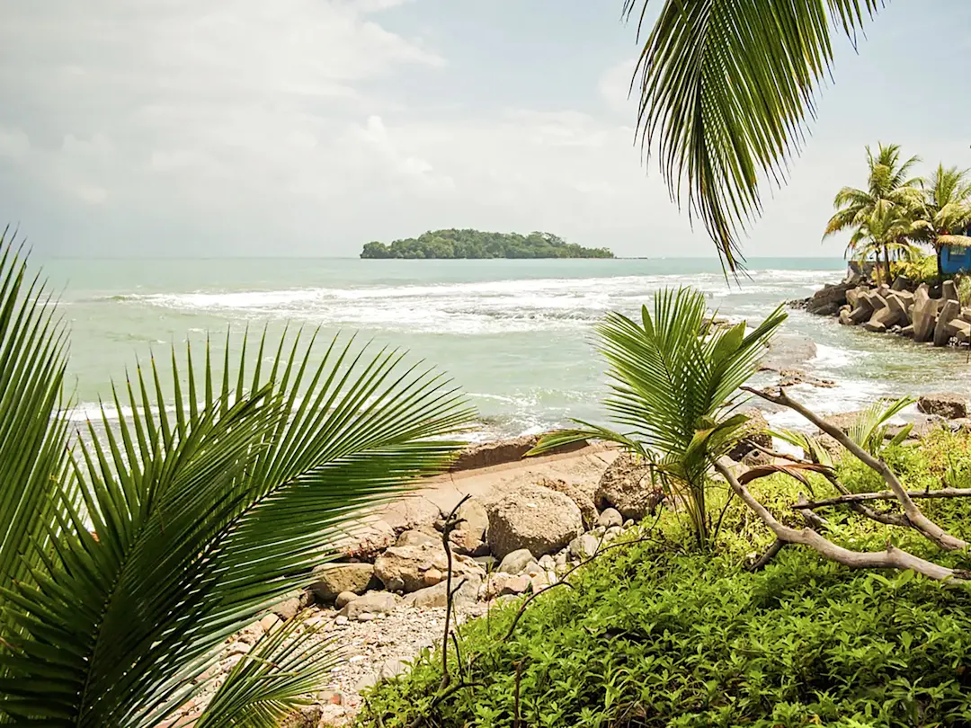 Palmengesäumte Küste und grüne Insel, Puerto Viejo, Limón, Costa Rica

