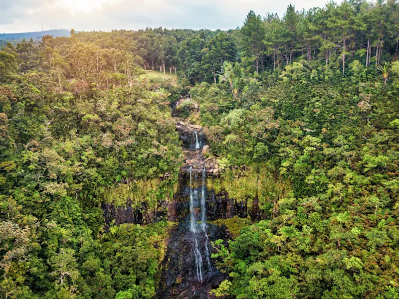 Black River, Mauritius Luftaufnahme eines Wasserfalls im tropischen Regenwald. Black River, Mauritius.