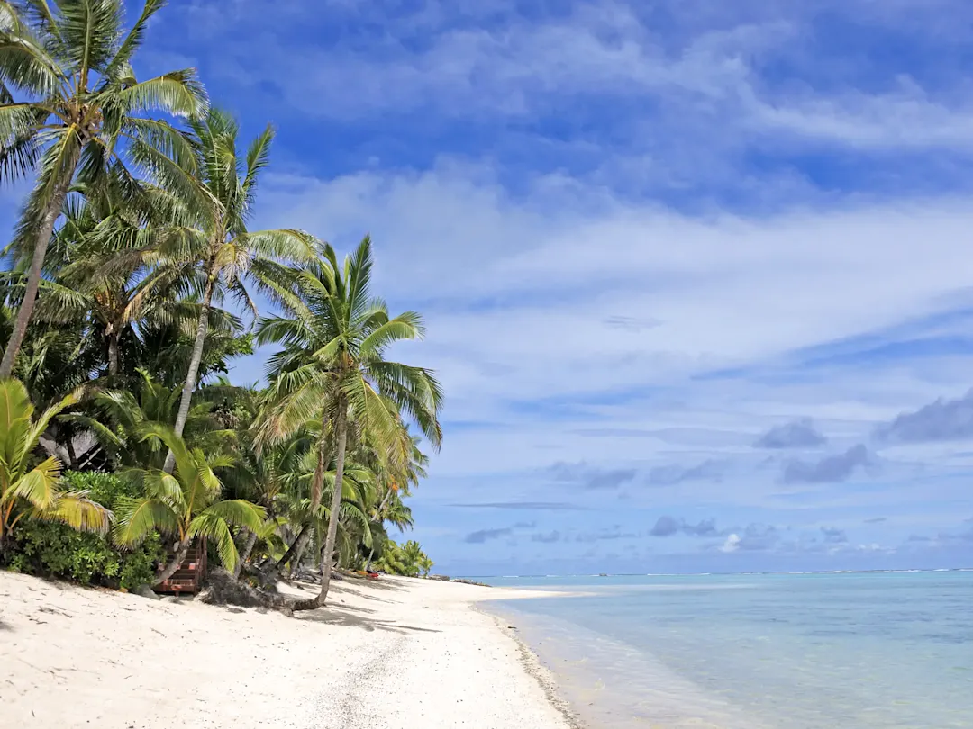 Tropischer Strand mit weißen Sand und Palmen an einem klaren blauen Himmel. Fidschi