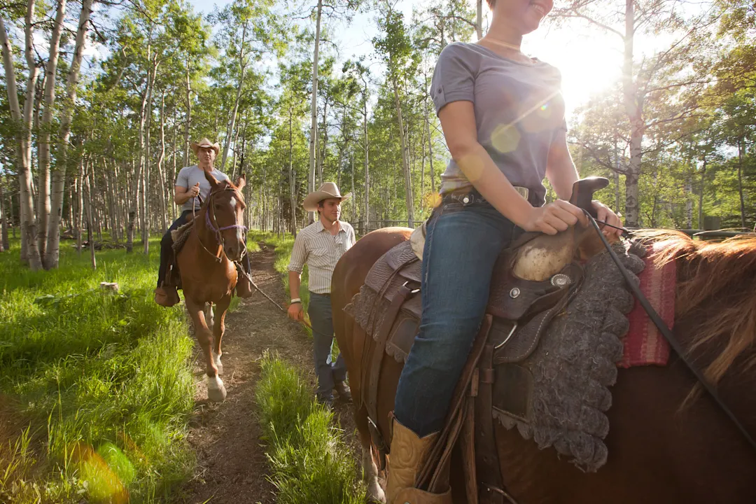 Reiten, Canmore, Alberta, Kanada Menschen machen auf Pferden einen Ausritt durch den Wald