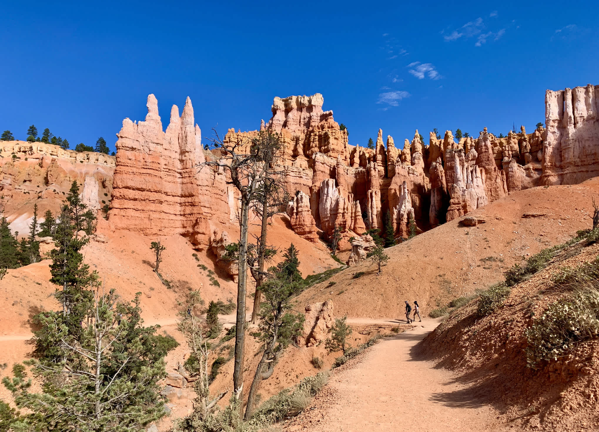 Bryce Canyon Nationalpark in Utah, USA