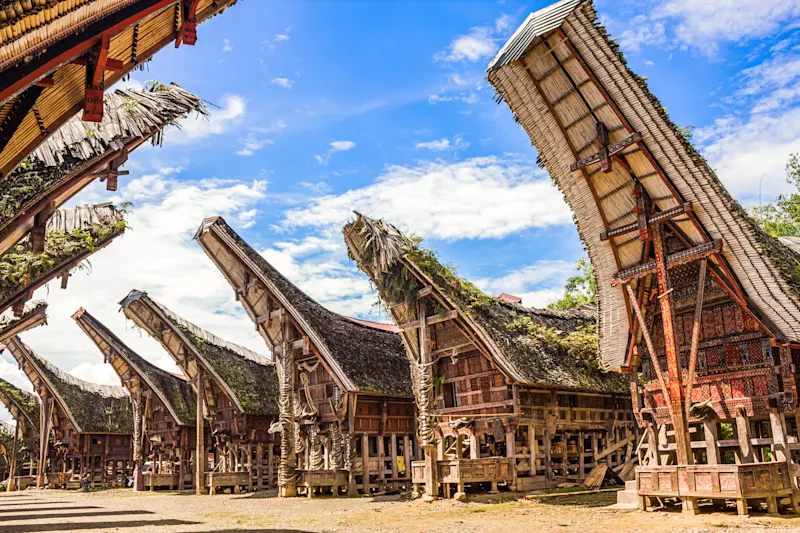 Sulawesi, Indonesien Foto von vielen Tongkonanern, den traditionellen Ahnenhäusern des Torajan-Volkes, Tana Toraja Regency in Süd-Sulawesi, Indonesien.