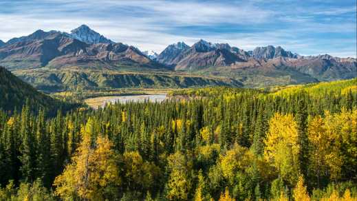 Blick auf den Herbst im Wrangell-St.-Elias-Nationalpark, Alaska, USA.