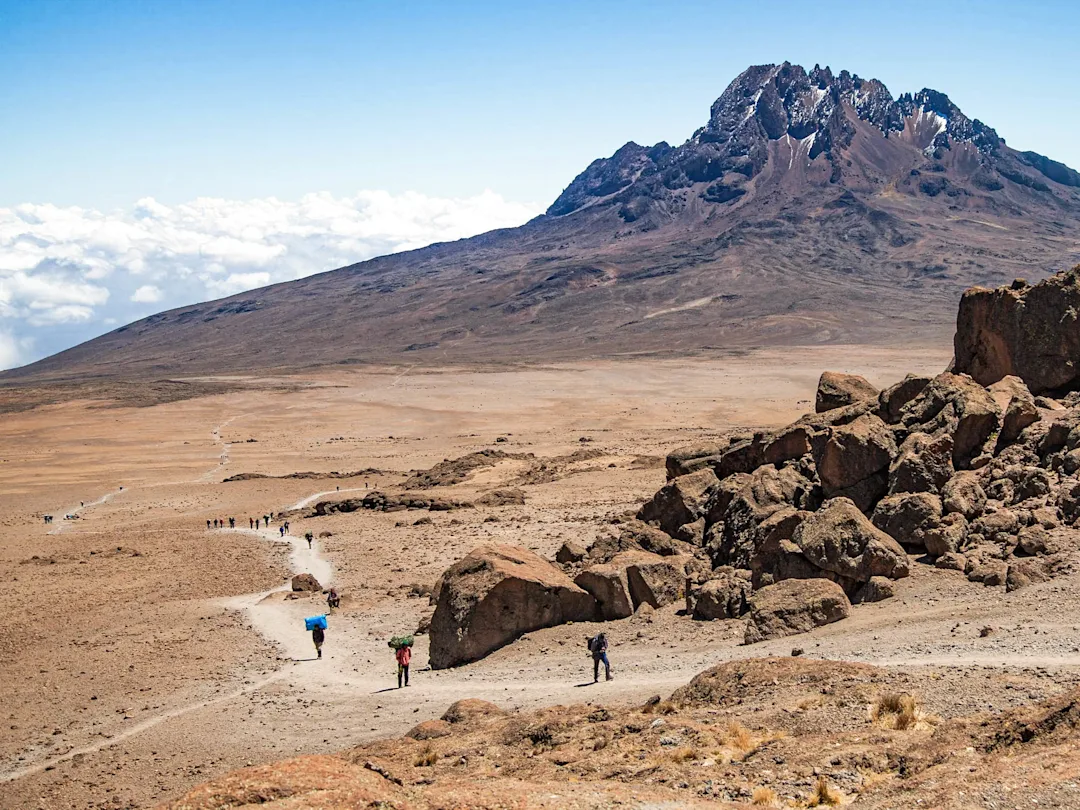 Circuit Kilimandjaro et Zanzibar