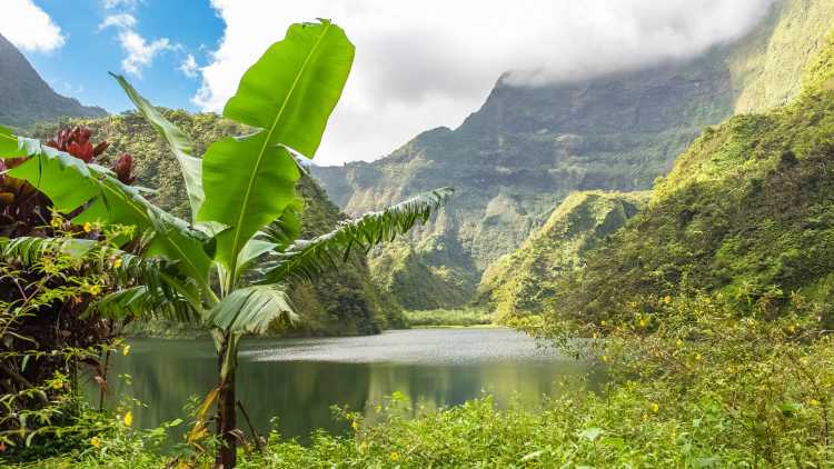 Magnifique vue sur le lac de Vaihiria encerclé par les montagnes et la jungle pendant une randonnée lors d'un voyage à Tahiti.