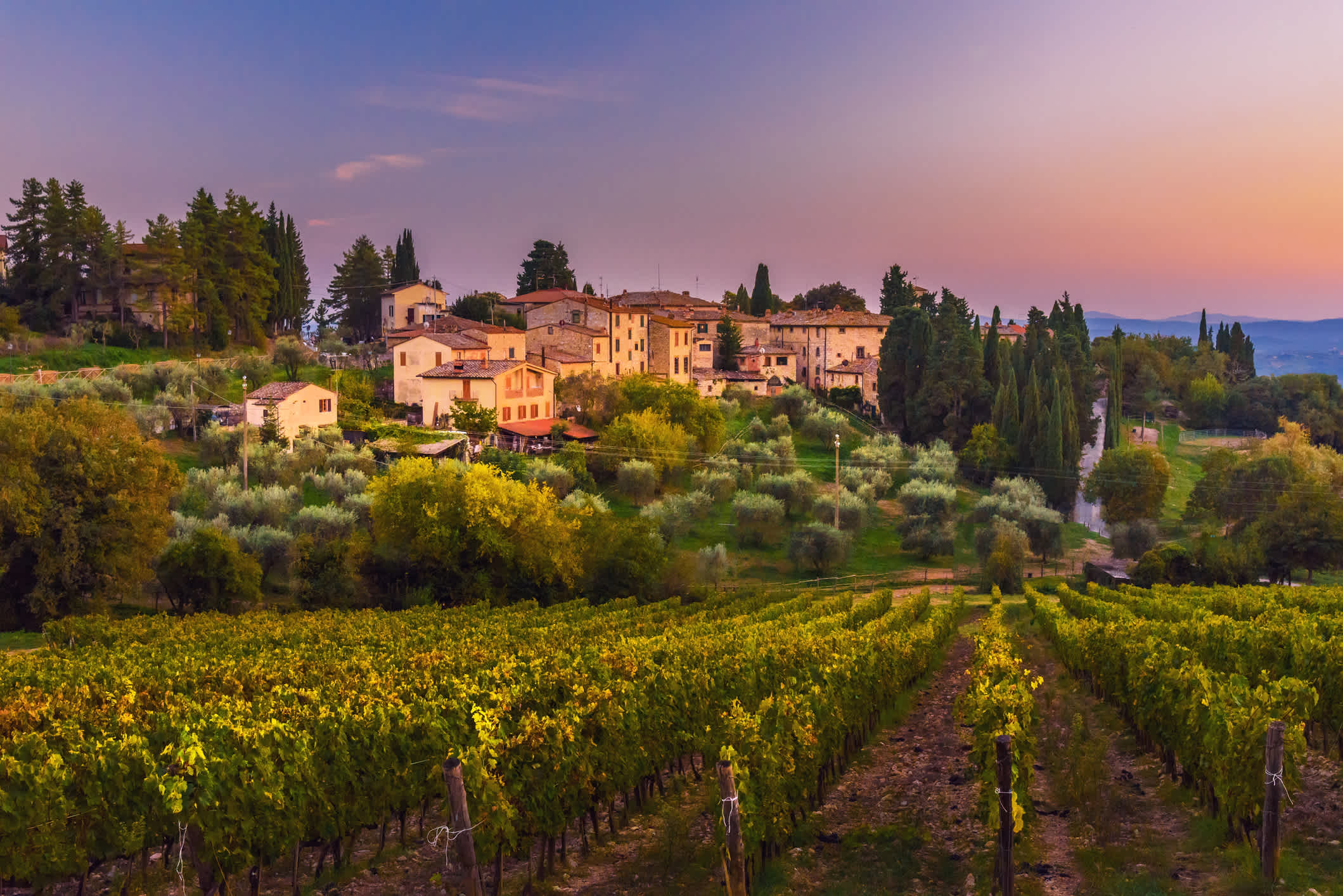 Visitez la région Chianti pendant votre séjour en Toscane et goûtez aux vins du même nom.