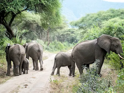 Tansania & Sansibar Rundreise: Safari und Traumstrände erleben - Image 1