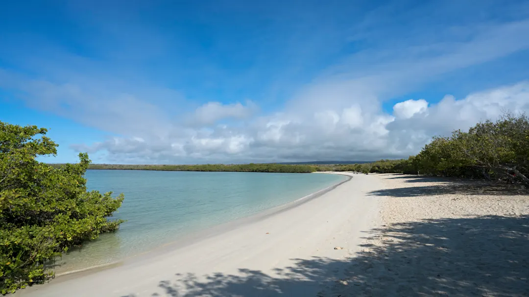 Suedamerika Ecuador Puerto Ayora Tortuga Bay Puerto Ayora Tortuga Bay