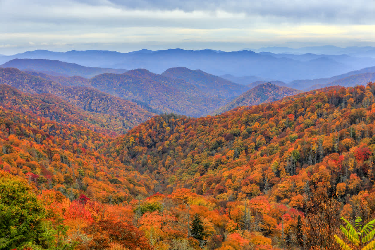 Randonnez au milieu des magnifiques Great Smoky Mountains pendant votre road trip sur la côte est des États-Unis.