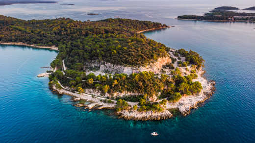 Vue aérienne de la péninsule de Zlatni Rt (Cap d'Or) près de Rovinj, Istrie, Croatie.