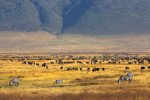 Karatu beim Ngorongoro-Krater - zu erleben bei einer Camping Safari Tansania