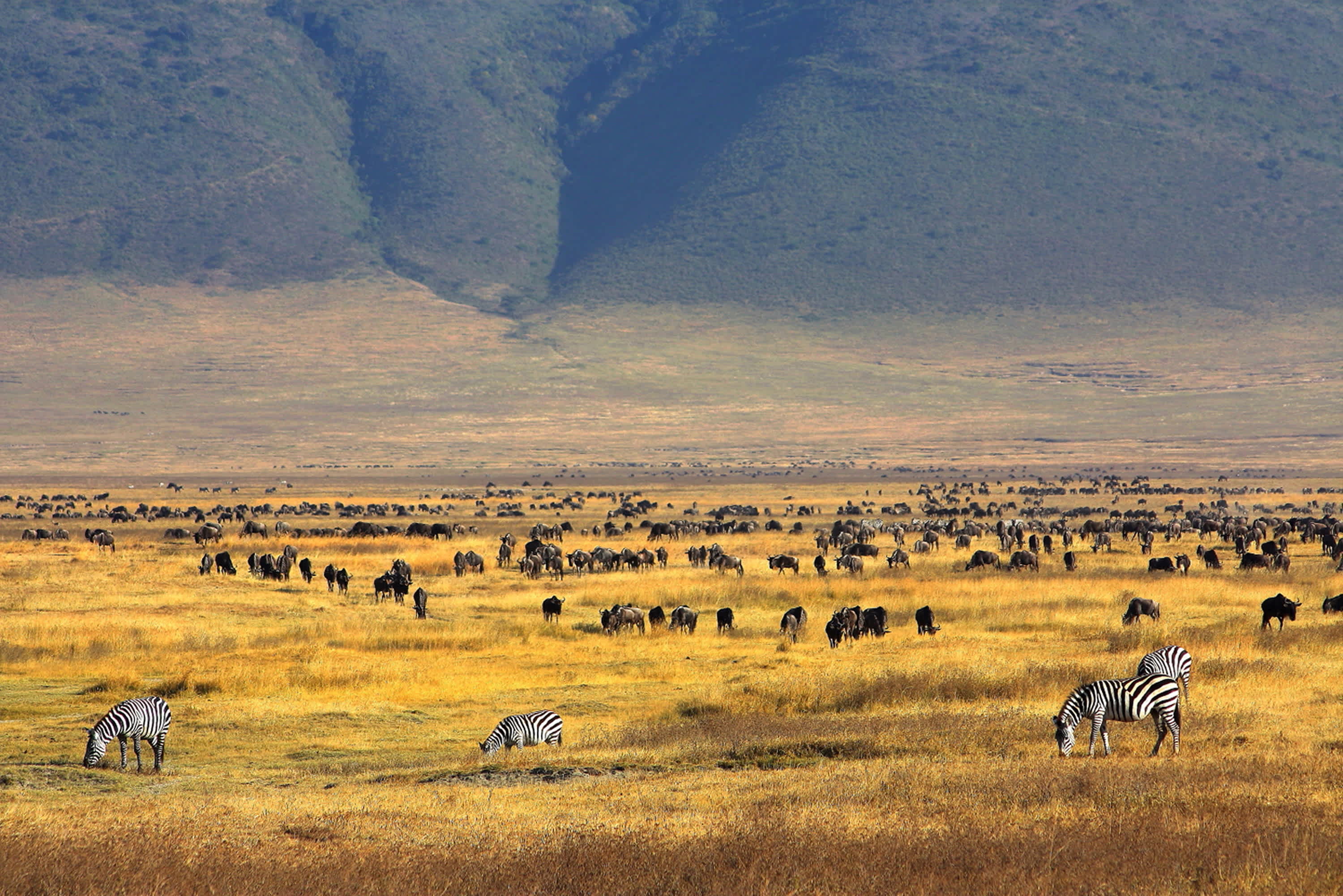 Découvrez le cratère Ngorongoro pendant votre voyage en Tanzanie