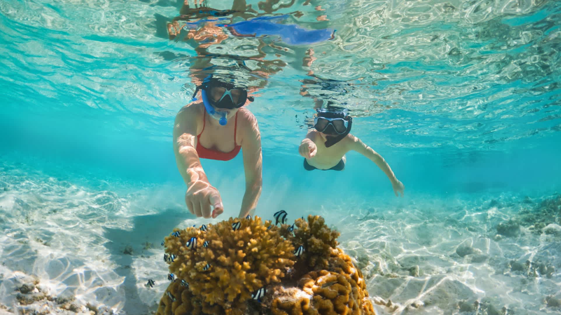 Une mère et son fils font de la plongée en apnée aux Maldives et pointent du doigt un corail