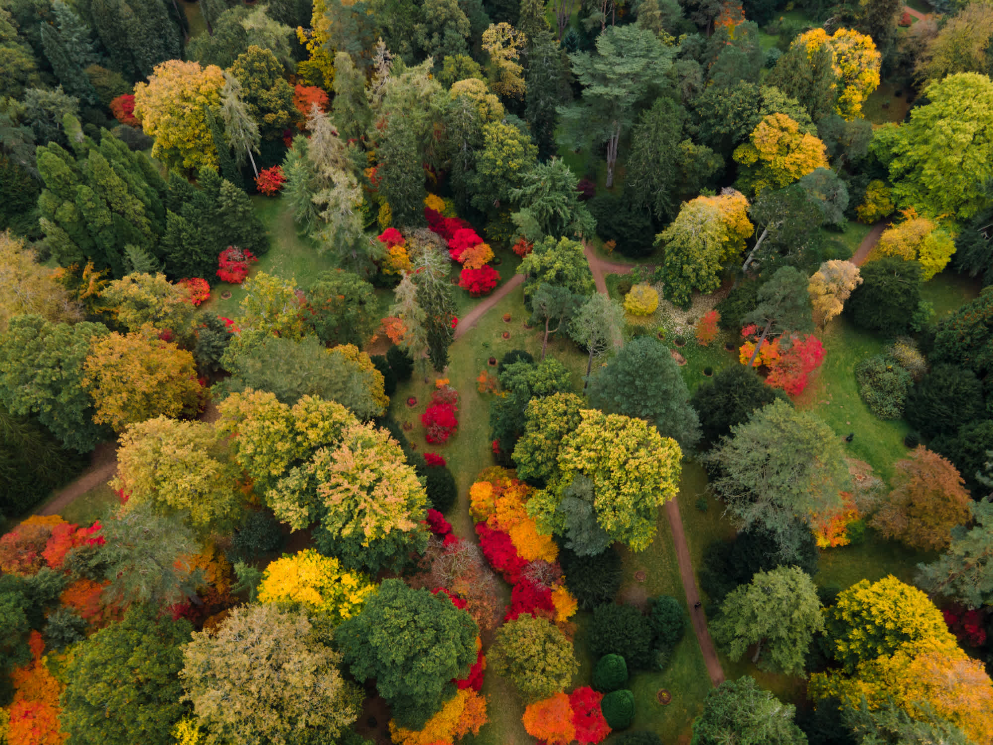 Das Arboretum beherbergt rund 15.000 seltene Baumarten und ist einer der schönsten Baumgärten der Welt