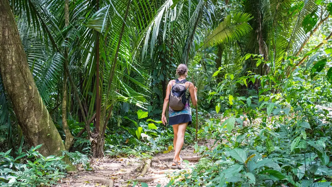 Person mit Rucksack wandert auf einem schmalen Pfad durch üppigen tropischen Regenwald mit Palmen und grüner Vegetation.